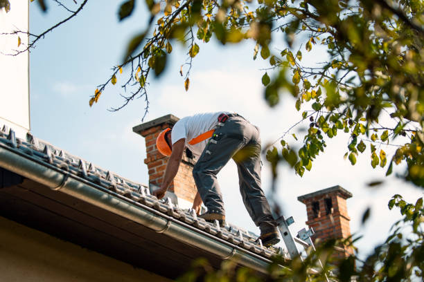 Roof Restoration in Miami Shores, FL